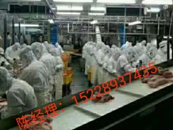 出國勞務 抓住國外雇主直招機遇，建筑工與工廠普工月薪高達3.5萬，天津移民與建筑工程新選擇